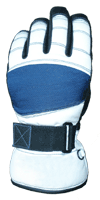 �W���j�A�O���[�u