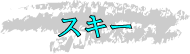 �X�L�[